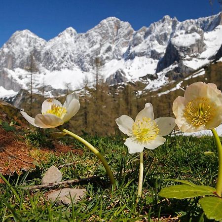 Appartementhaus Finis Ramsau am Dachstein Dış mekan fotoğraf