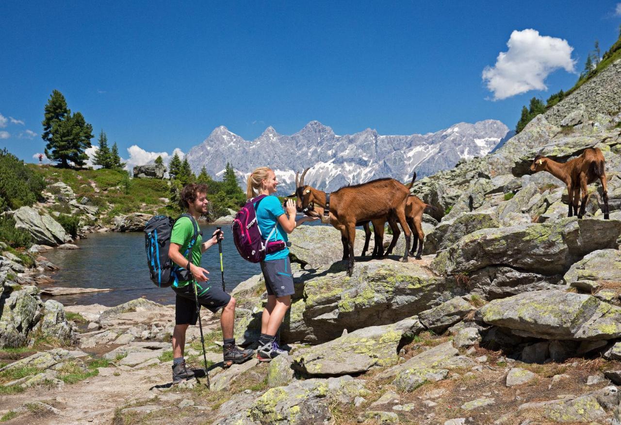 Appartementhaus Finis Ramsau am Dachstein Dış mekan fotoğraf