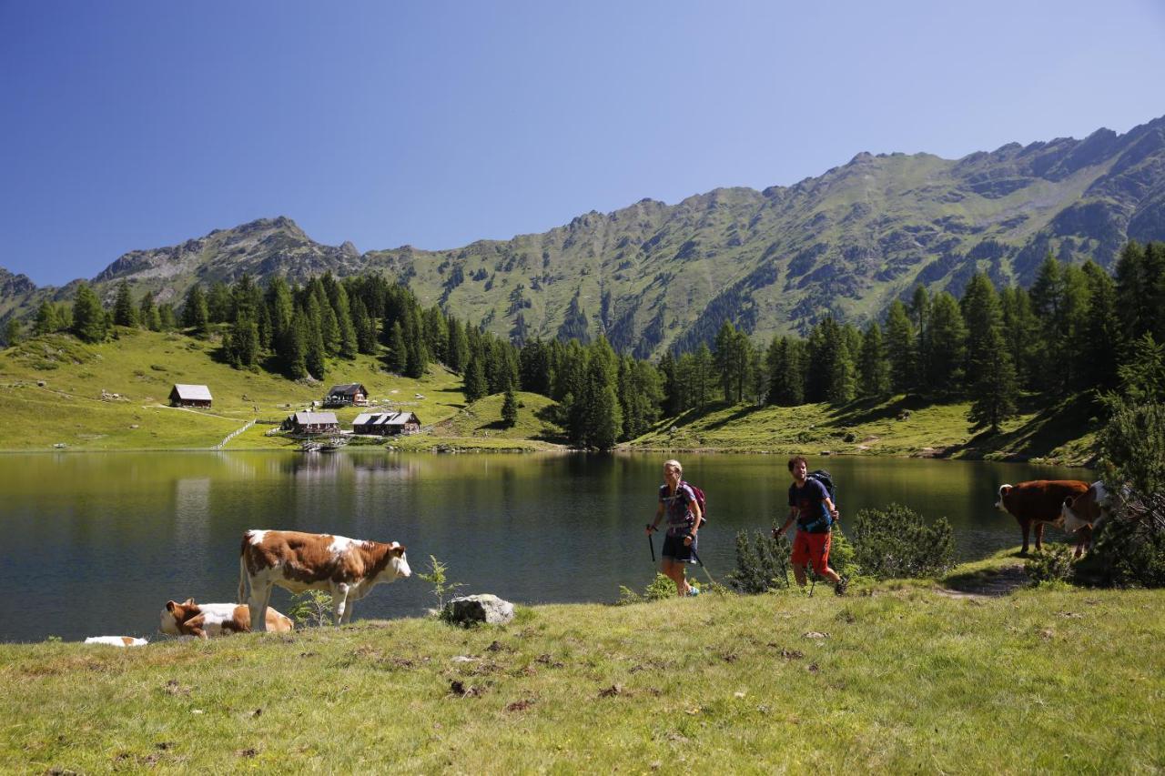 Appartementhaus Finis Ramsau am Dachstein Dış mekan fotoğraf