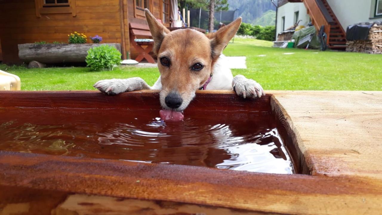 Appartementhaus Finis Ramsau am Dachstein Dış mekan fotoğraf