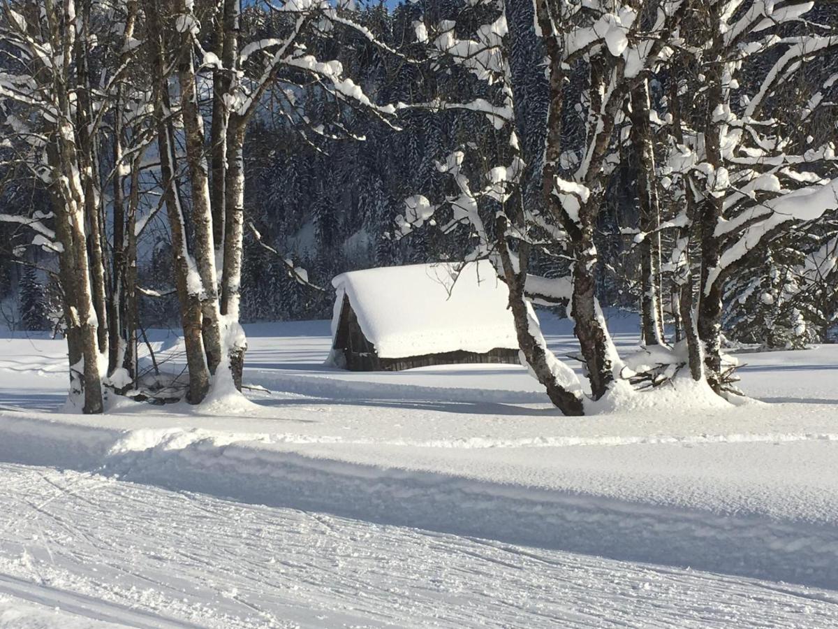 Appartementhaus Finis Ramsau am Dachstein Dış mekan fotoğraf