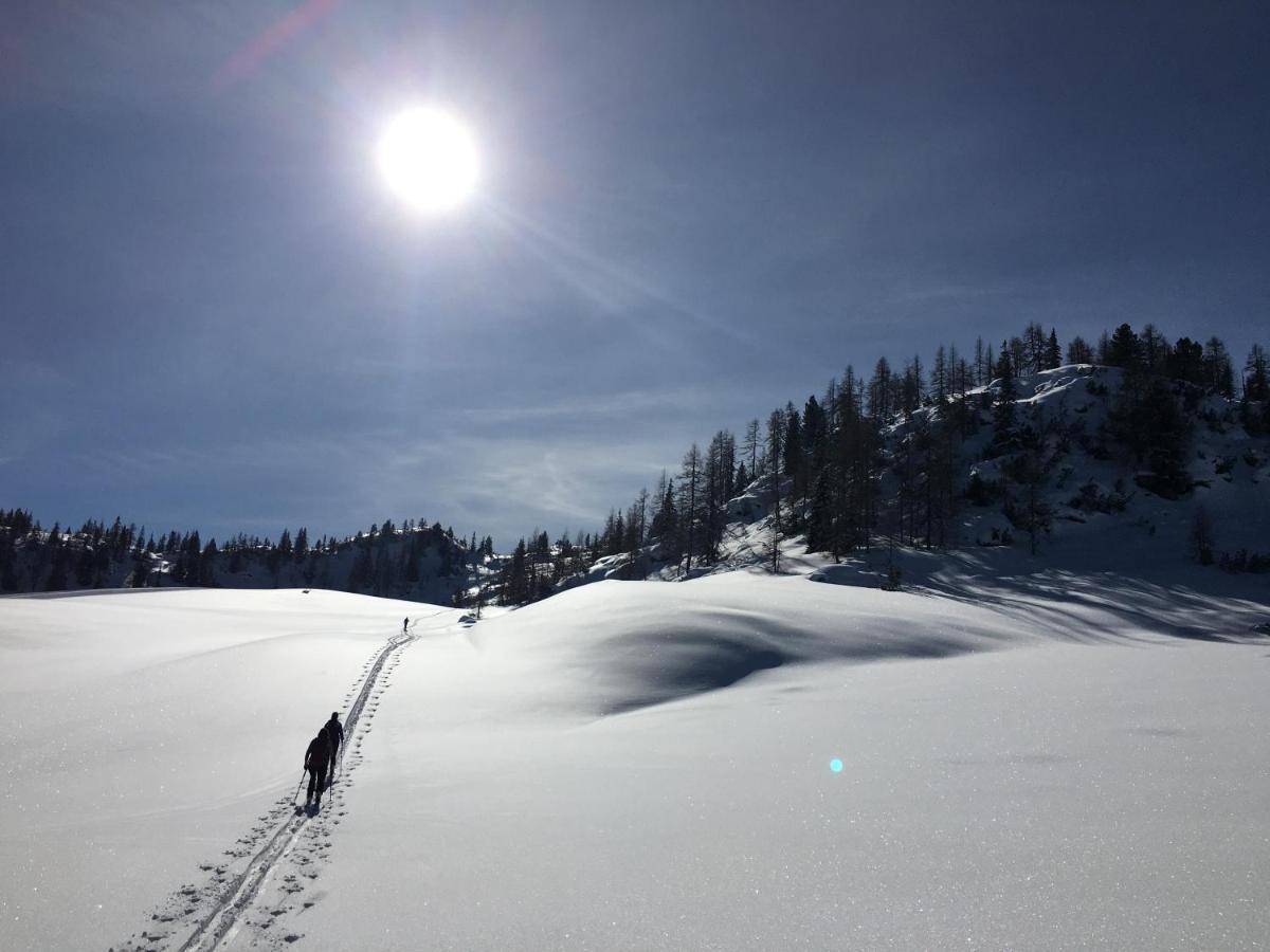 Appartementhaus Finis Ramsau am Dachstein Dış mekan fotoğraf